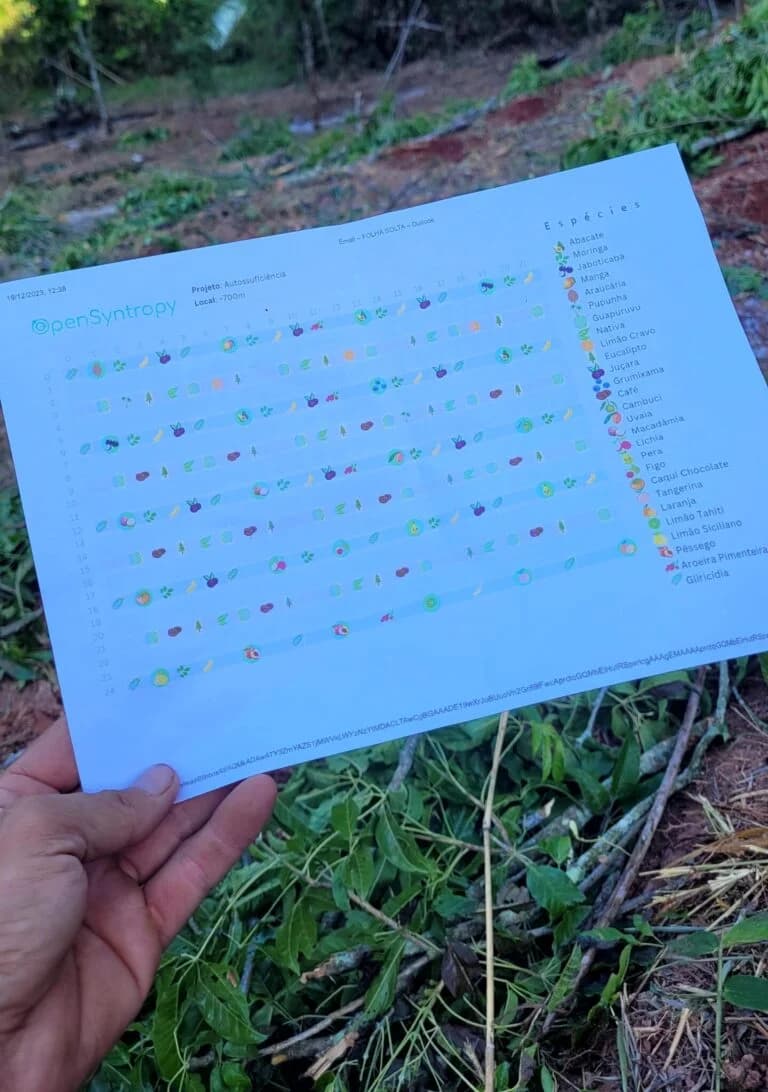 Curso de Introdução a Agrofloresta Sintrópica