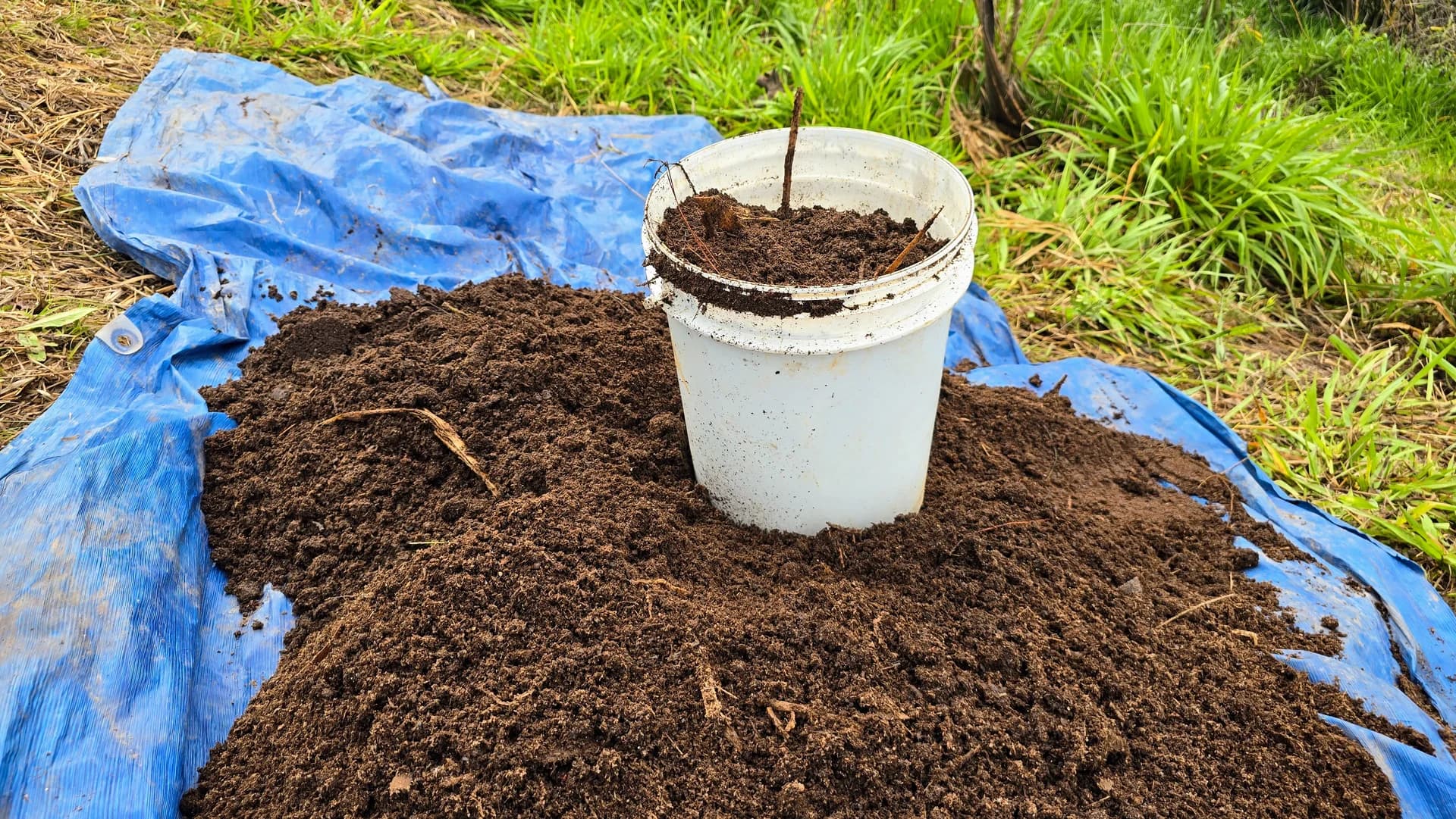 Adubações e fertilizantes orgânicos
