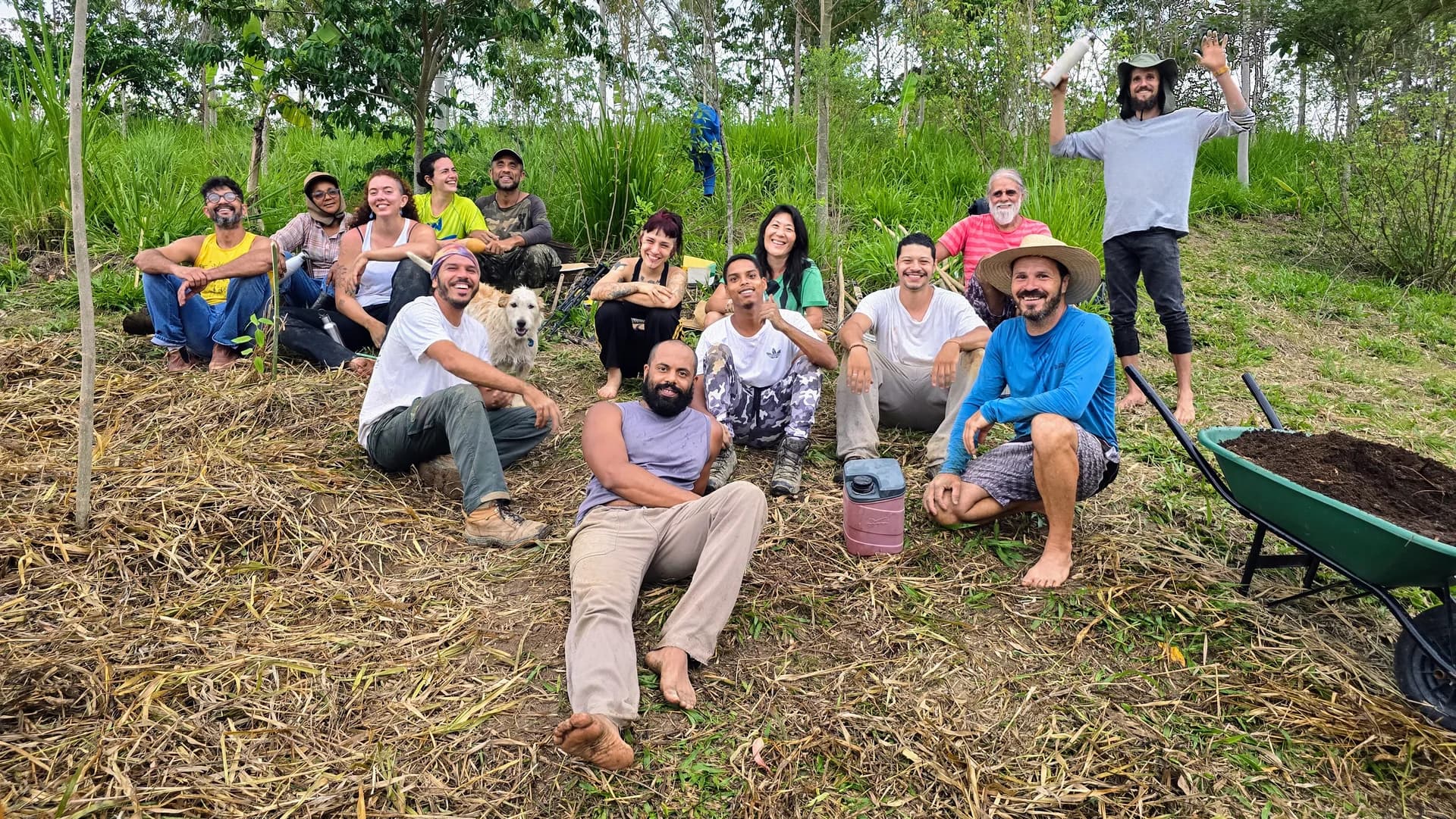 Curso de Introdução a Agrofloresta Sintrópica