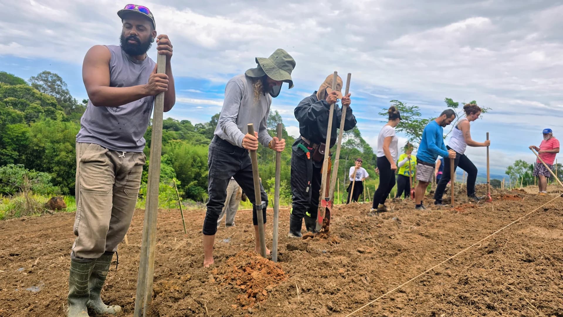 Implantação prática de Agrofloresta Sintrópica