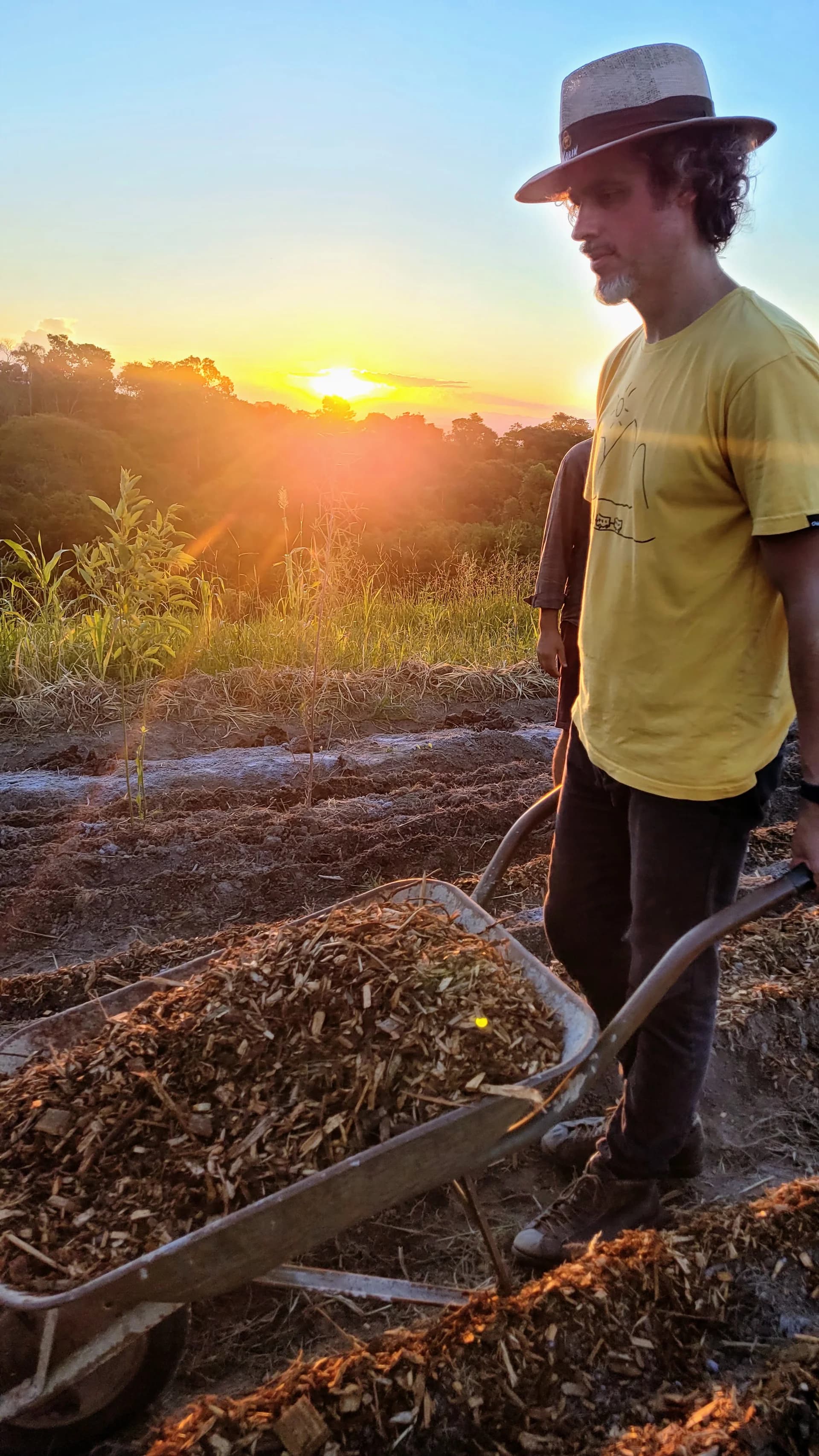 Curso de Introdução a Agrofloresta Sintrópica
