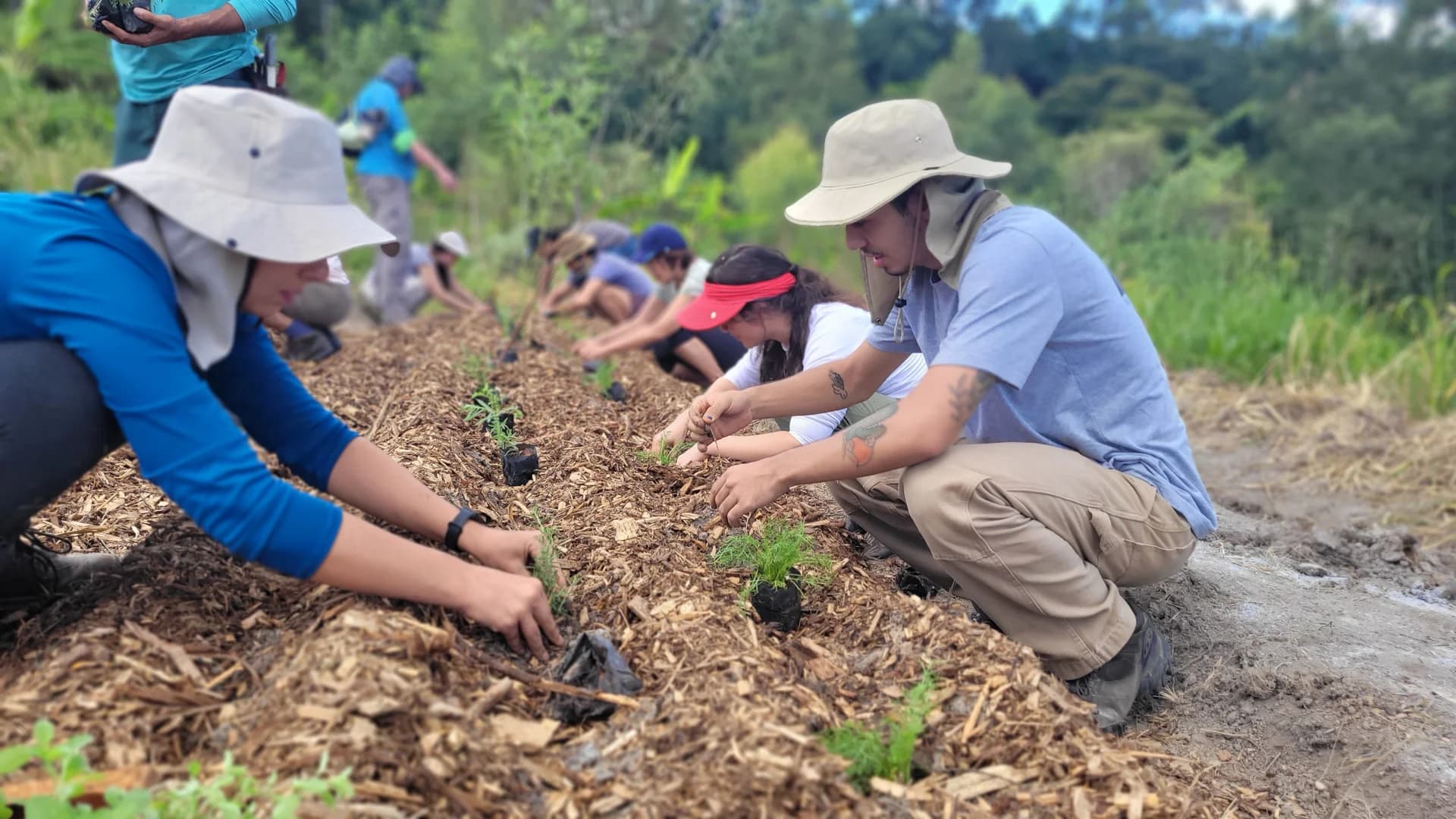 Paisagem natural do Desperto