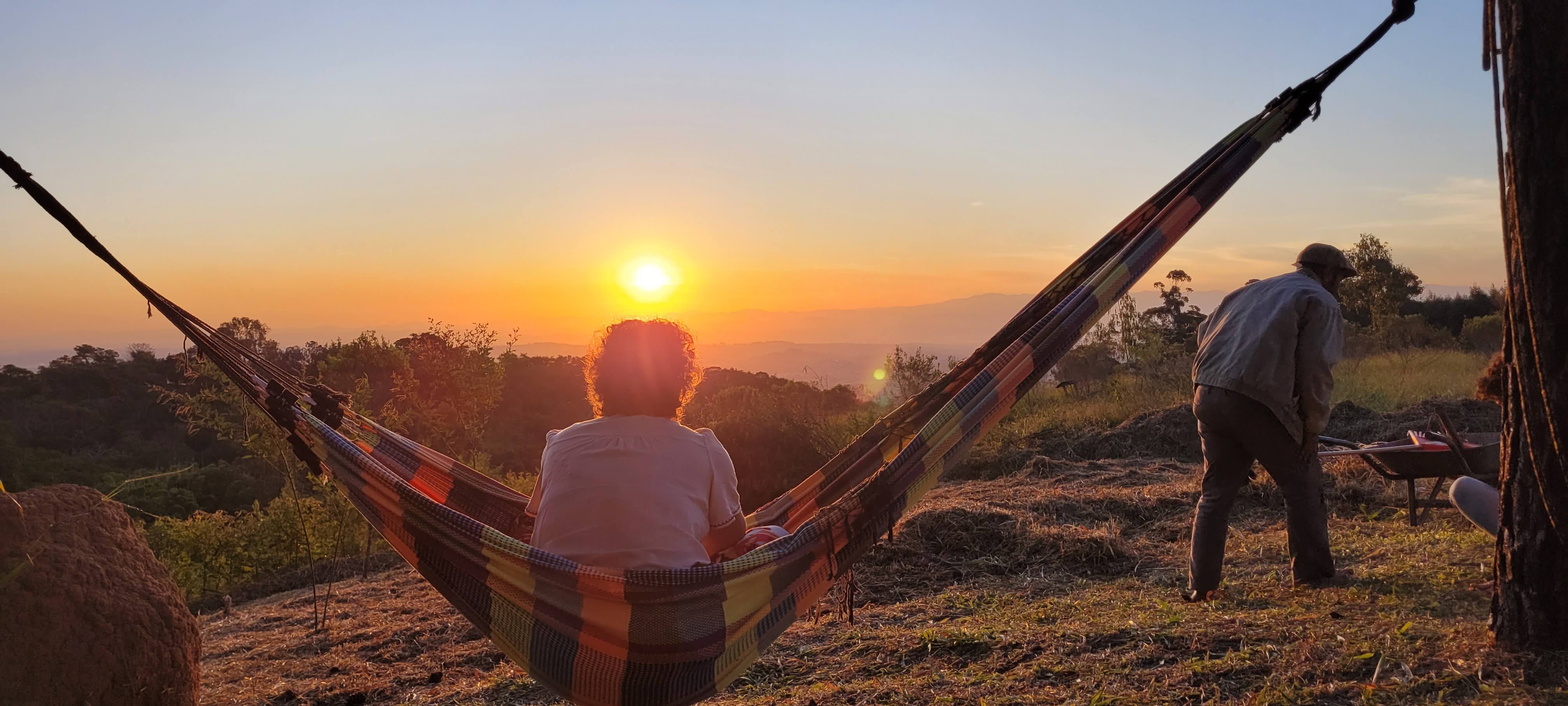 Introdução à Agrofloresta