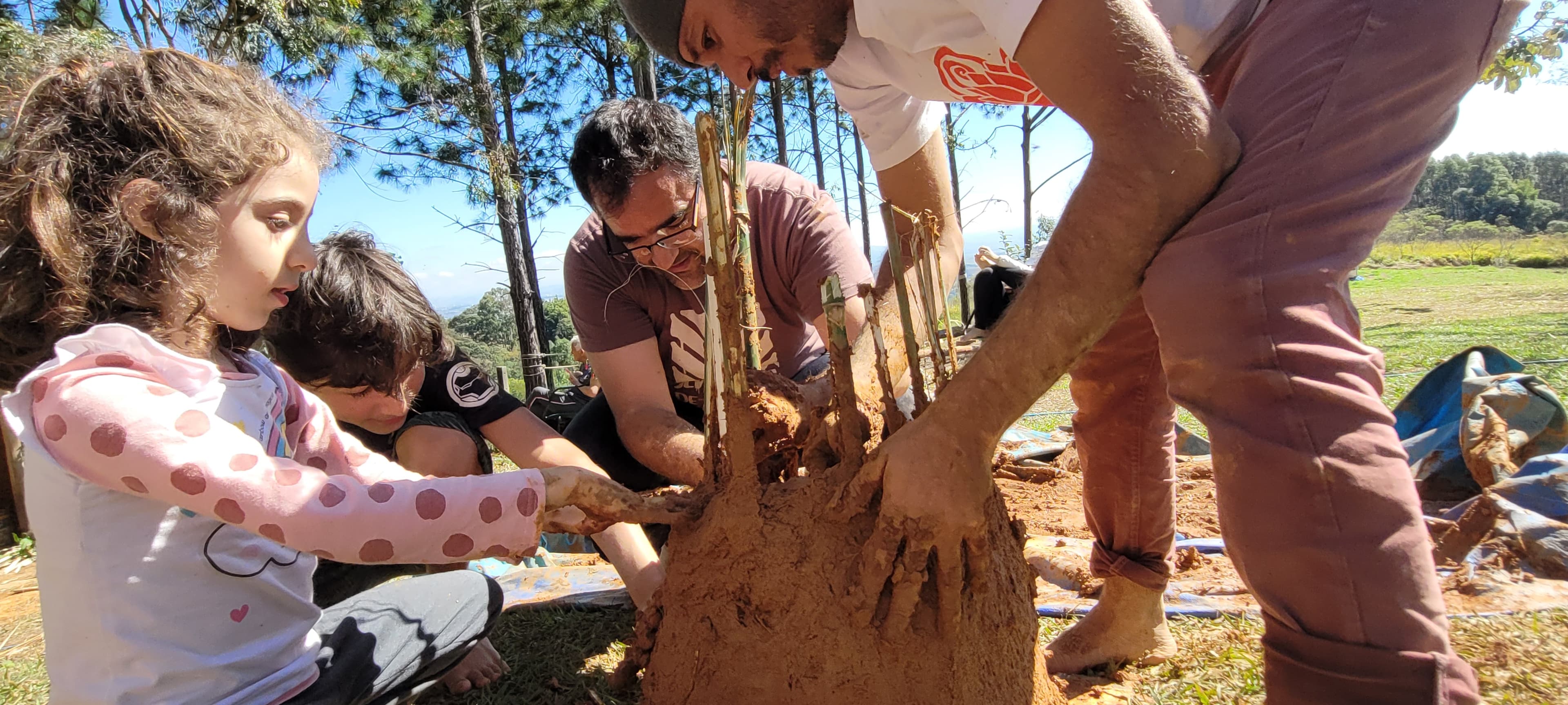 Colheita e Beneficiamento