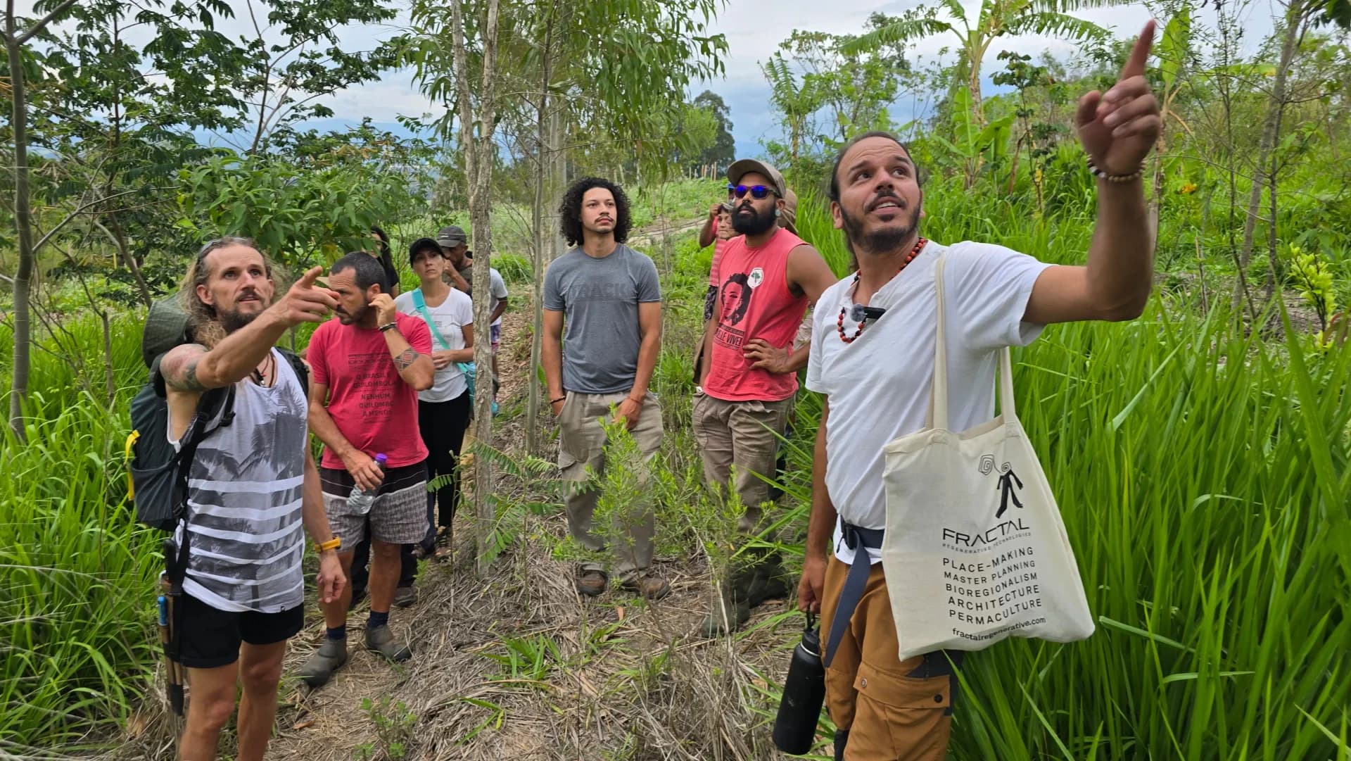 Conexão com a Floresta